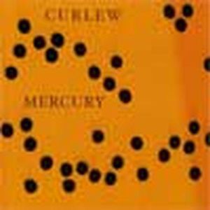 Mercury , Curlew
