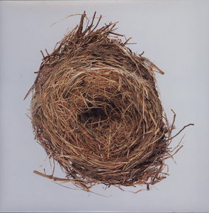 A Ghost Is Born , Wilco