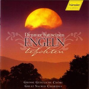 Denn Er Hat Seinen Engeln Befohlen / Various , Various Artists