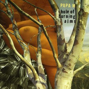 Hole of Burning Alms , David Pajo