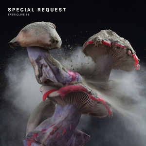 Fabriclive 91 , Special Request