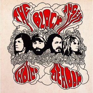 Indigo Meadow , The Black Angels