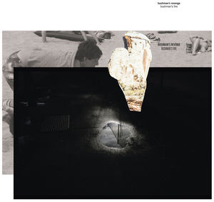 Bushman's Fire , Bushman's Revenge