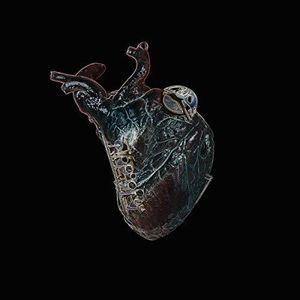 Guardians Of The Heart Machine , Seamus Blake