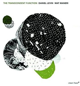 Transcendent Function [Import]