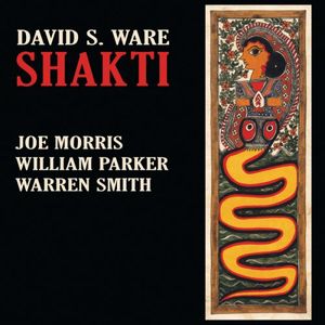 Shakti , David S. Ware