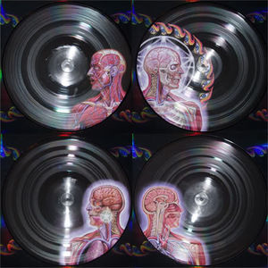 Lateralus , Tool