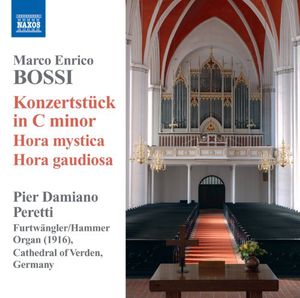 Organ Music: Konzertstuck in C minor , Pier Damiano Peretti