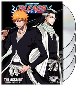 Bleach Uncut Box Set: Volume 5 , Bleach