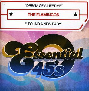 Dream of a Lifetime , The Flamingos