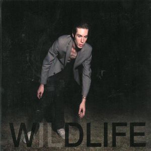 Wildlife , The Icarus Line
