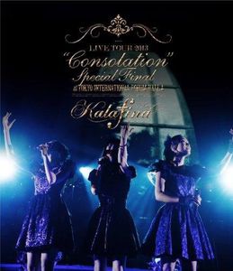 Live Tour 2013 Consolation [Import]