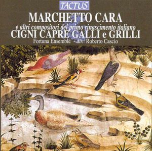 Cigni Capre Galli E Grilli , Fortuna Ensemble