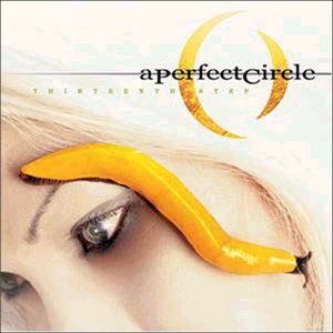 Thirteenth Step , A Perfect Circle