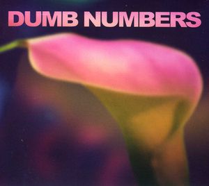 Dumb Numbers , Dumb Numbers