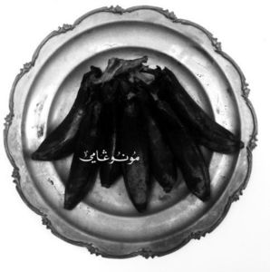 Monogamy , Land of Kush's Egyptian Light Orchestra