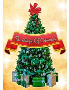 Magic of Christmas