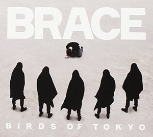 Brace [Import]