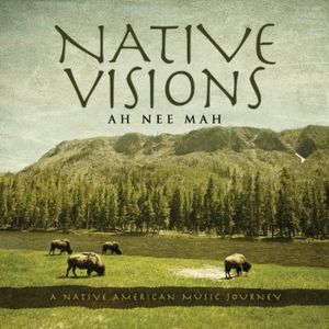 Native Visions: A Native American Music Journey -  Green Hill