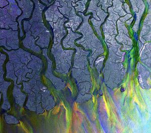 An Awesome Wave , Alt-J