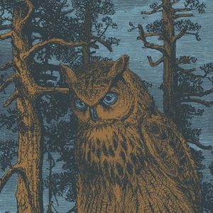 Queller (Second Edition) , Nadja