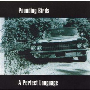 Perfect Language , Pounding Birds