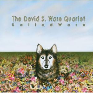 Balladware , David S. Ware