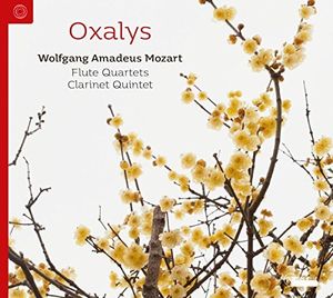 Flute Quartets & Clarinet Quintets , Mozart