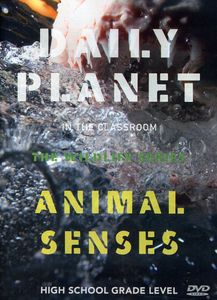 Animal Senses 
