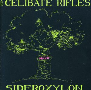 Sideroxylon [Import]
