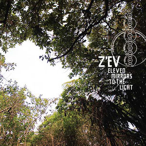 Eleven Mirrors to the Light , Z'ev