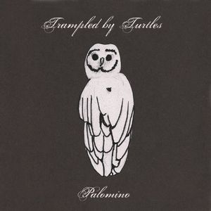 Palomino , Trampled by Turtles