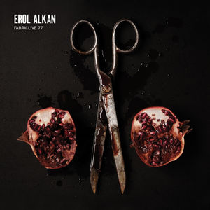 Fabriclive 77 , Erol Alkan