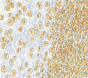 Greenberger, David & Dozens : Near the Edge of the Penny Jar Spill