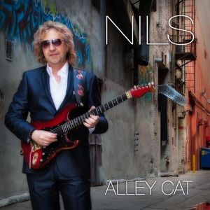 Alley Cat , The Nils