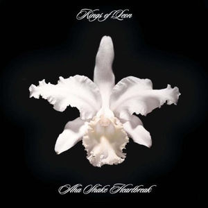 Aha Shake Heartbreak , Kings of Leon