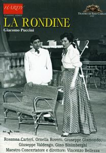 La Rondine , Vincenzo Bellezza