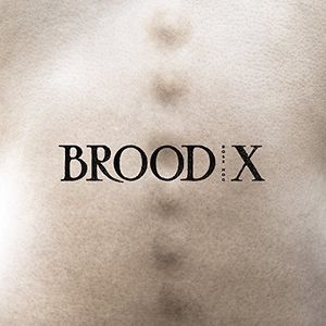 Brood X , Boss Hog