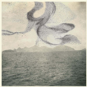 Small Murmuration , Snow Ghosts