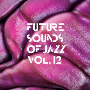 Future Sounds Of Jazz Vol.12 , Various Artists