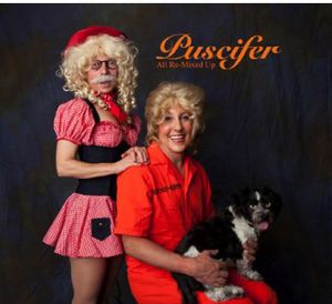 All Re-Mixed Up , Puscifer