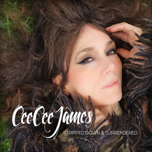 Stripped Down & Surrendered , Cee Cee James