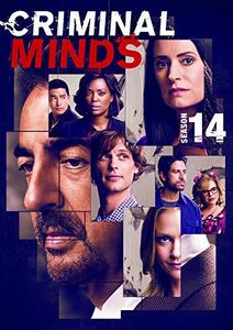 Criminal Minds: Season 14 , Matthew Gray Gubler