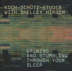 Walking Stumbling Sleep , Hans Koch