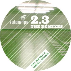Audiomatique 2.3: The Remixes , Adultnapper