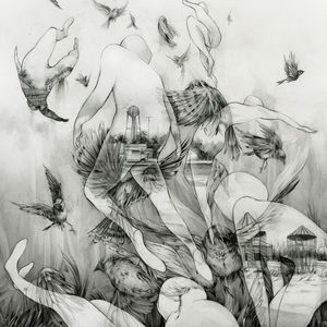 Last Dawn , Mono