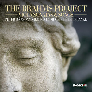 Brahms Project , Brahms
