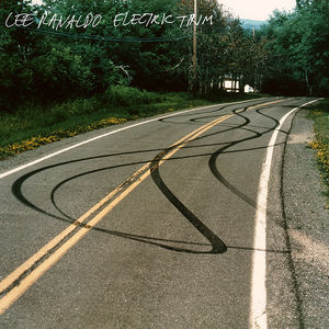 Electric Trim , Lee Ranaldo