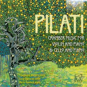 Chamber Music for Violin /  Cello & Piano