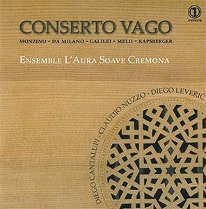 Conserto Vago 